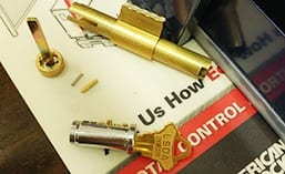 Lock cylinder and lock pins dissembled